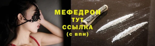 стаф Аркадак