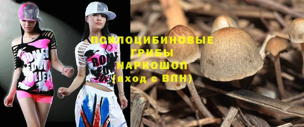 метадон Армянск
