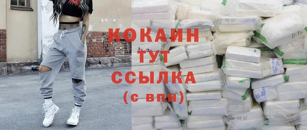 стаф Аркадак