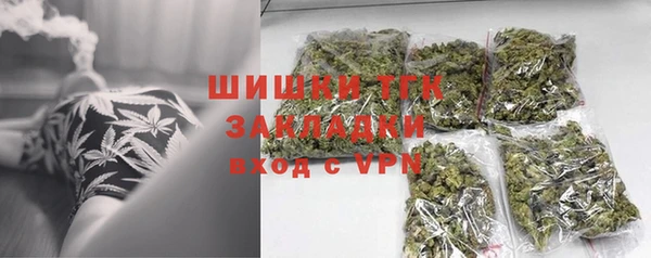 стаф Аркадак