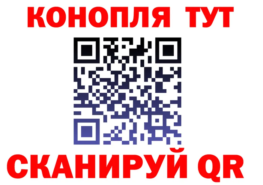 МЕФ VHQ вход маркетплейс мега Полярные Зори