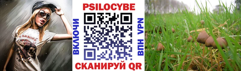Галлюциногенные грибы GOLDEN TEACHER Полярные Зори